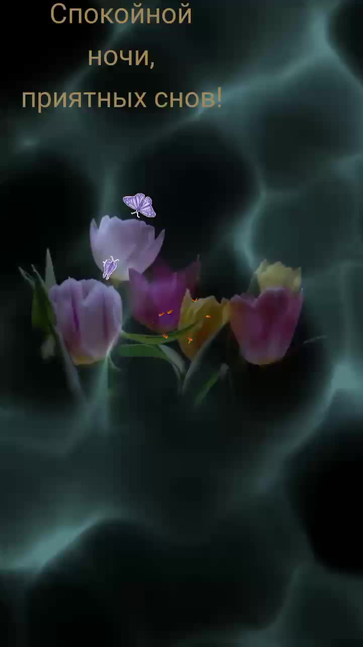 @ninareg55