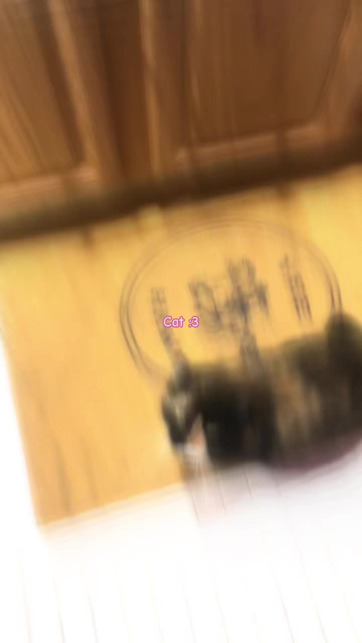 @VentBoyXD