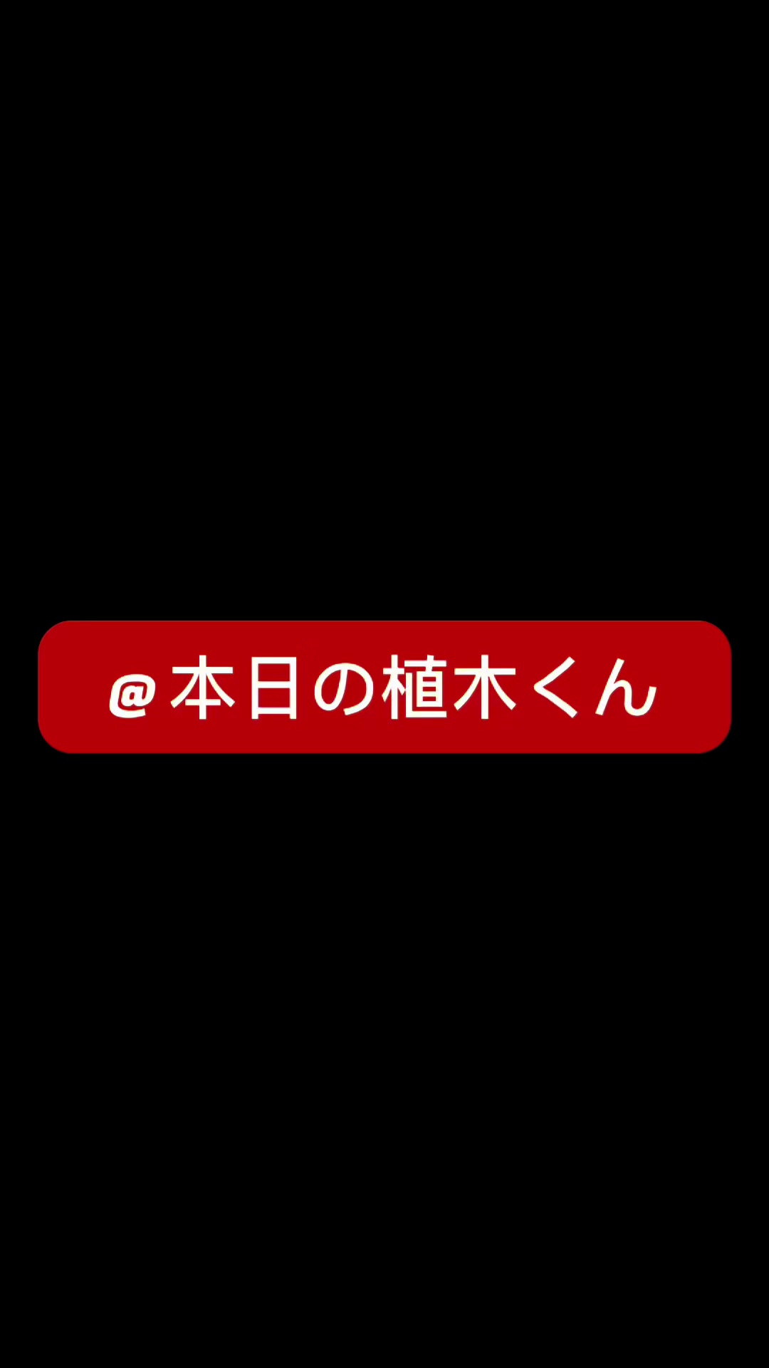 @本日の植木くん