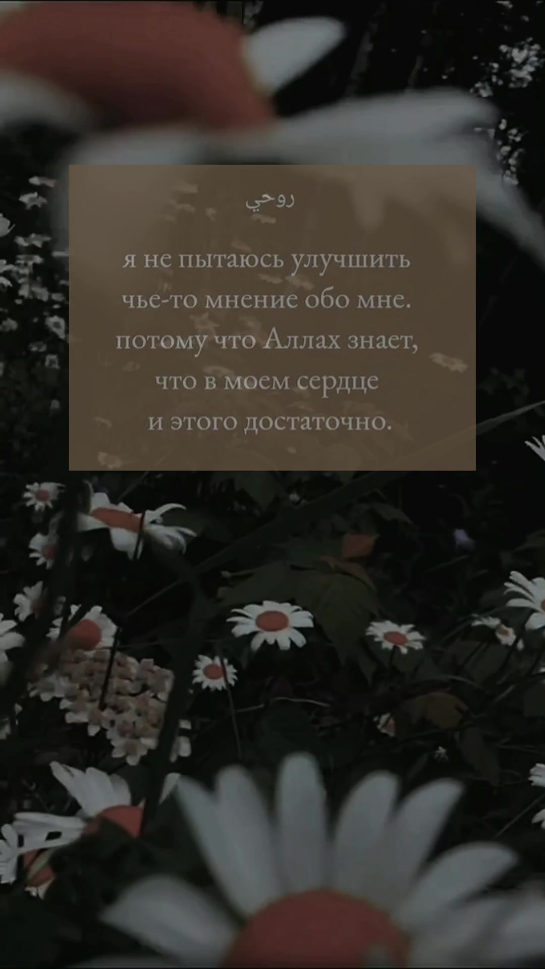 @А🥀