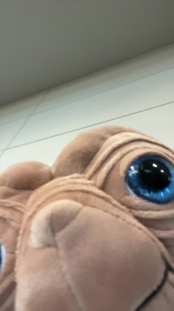 @Hi