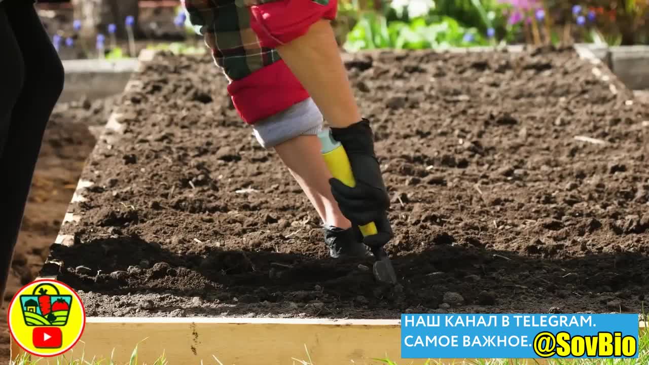 @СОВЕТЫ БИОЛОГА