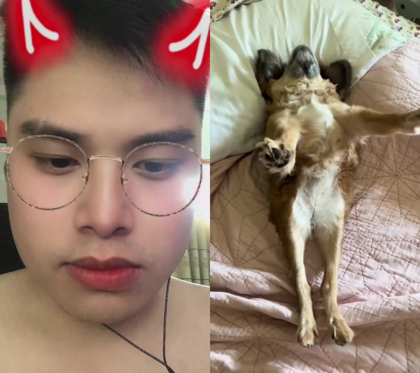 @cobelingcao1231