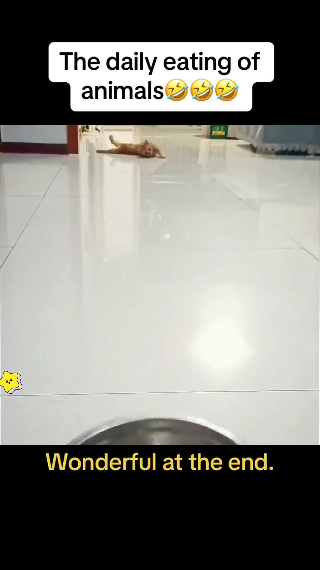 @Cute Pets😻