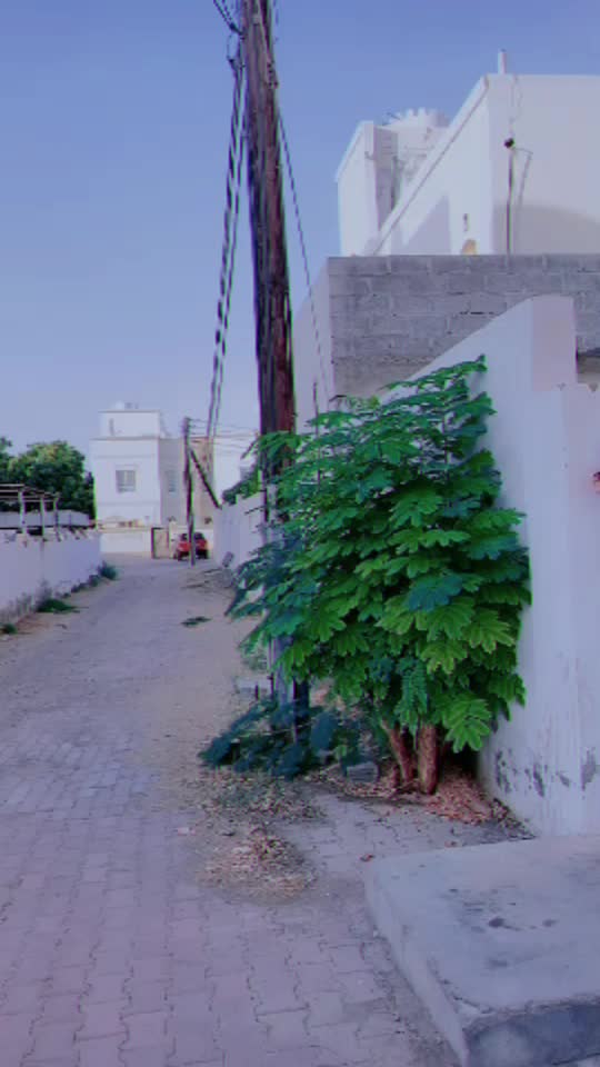 @Ashiknzr