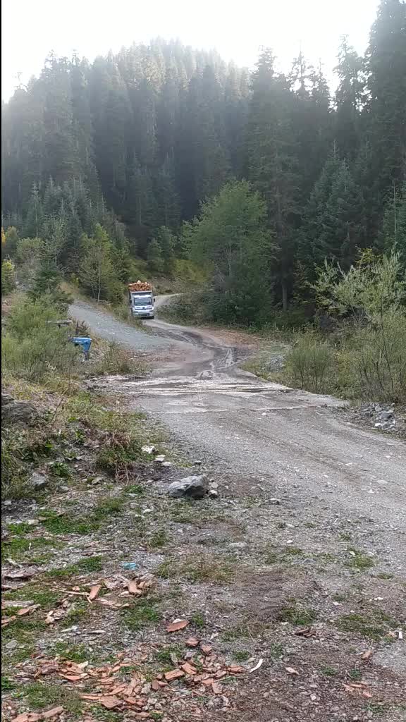 @Remzi Aksoy