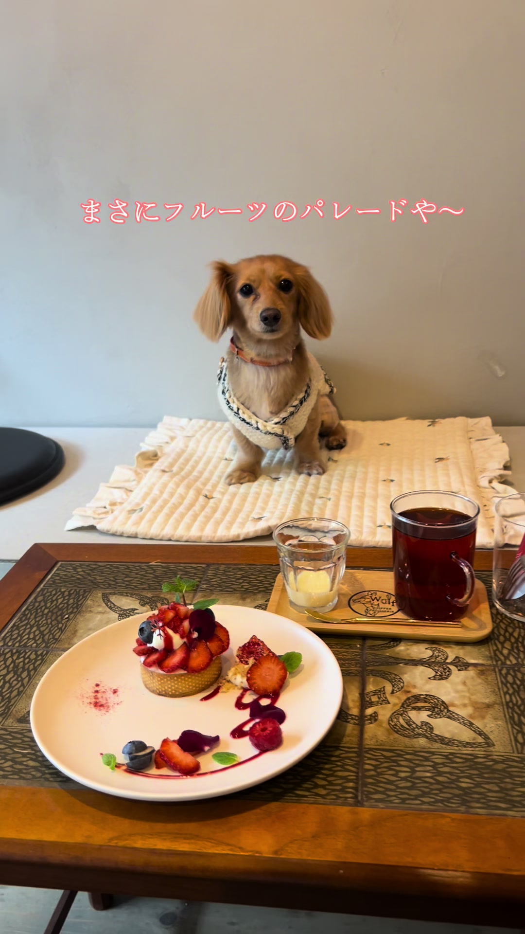 @wanwanカフェ物語