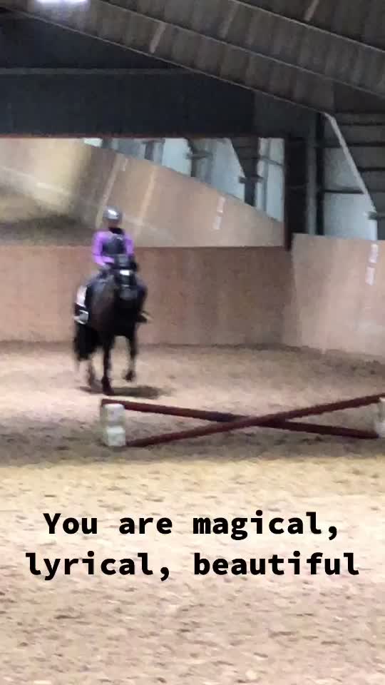 @🏇Ryttare🏇