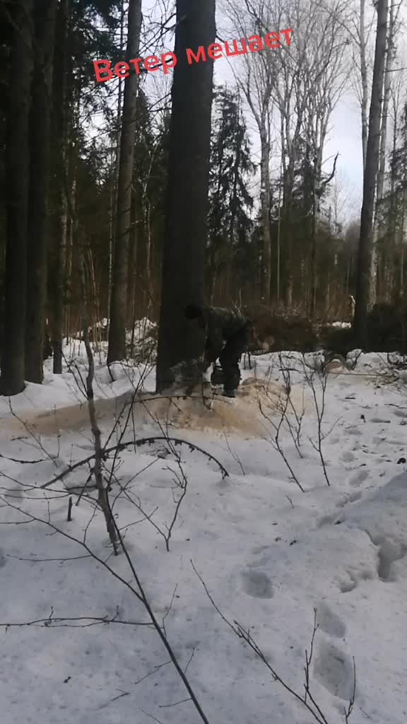 @Андрей Шубин