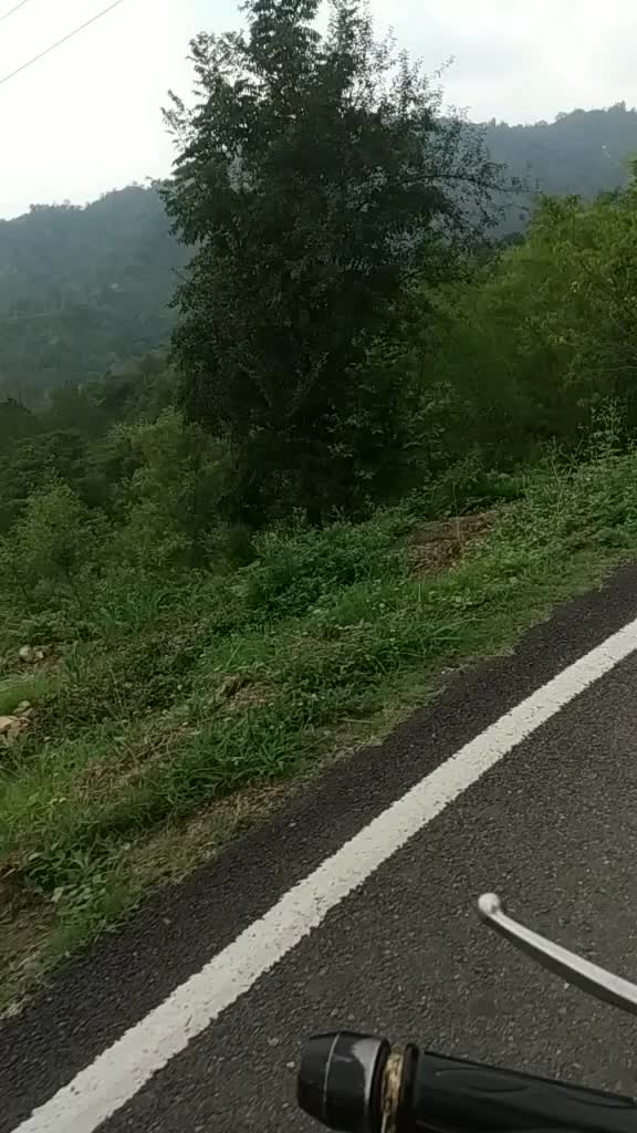 @ßharDwaj MukeSh🇨🇮?