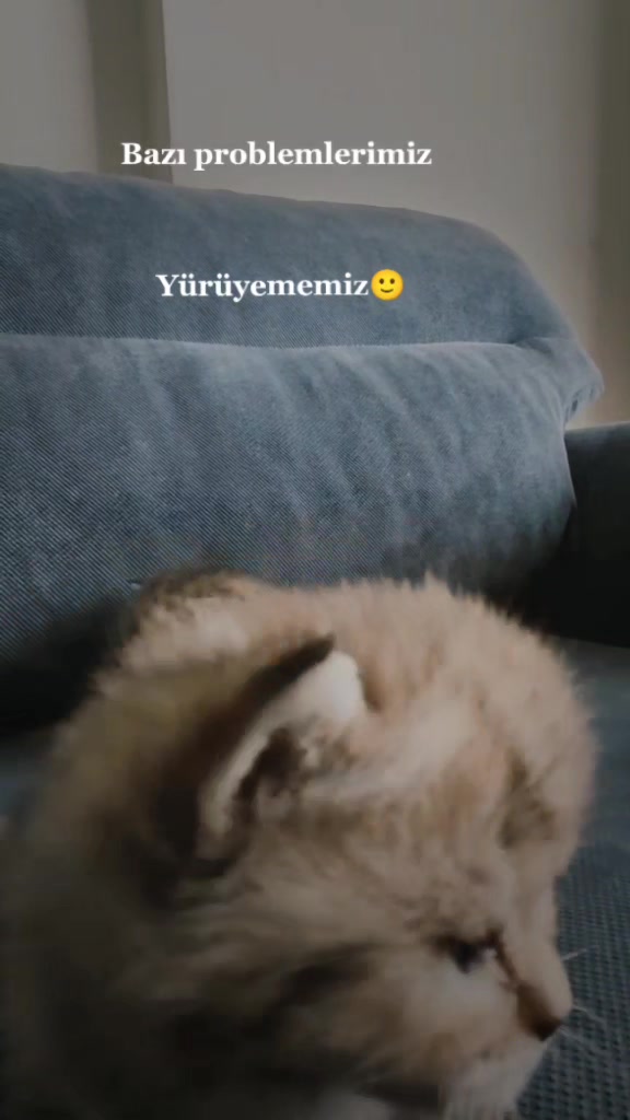 @Siri