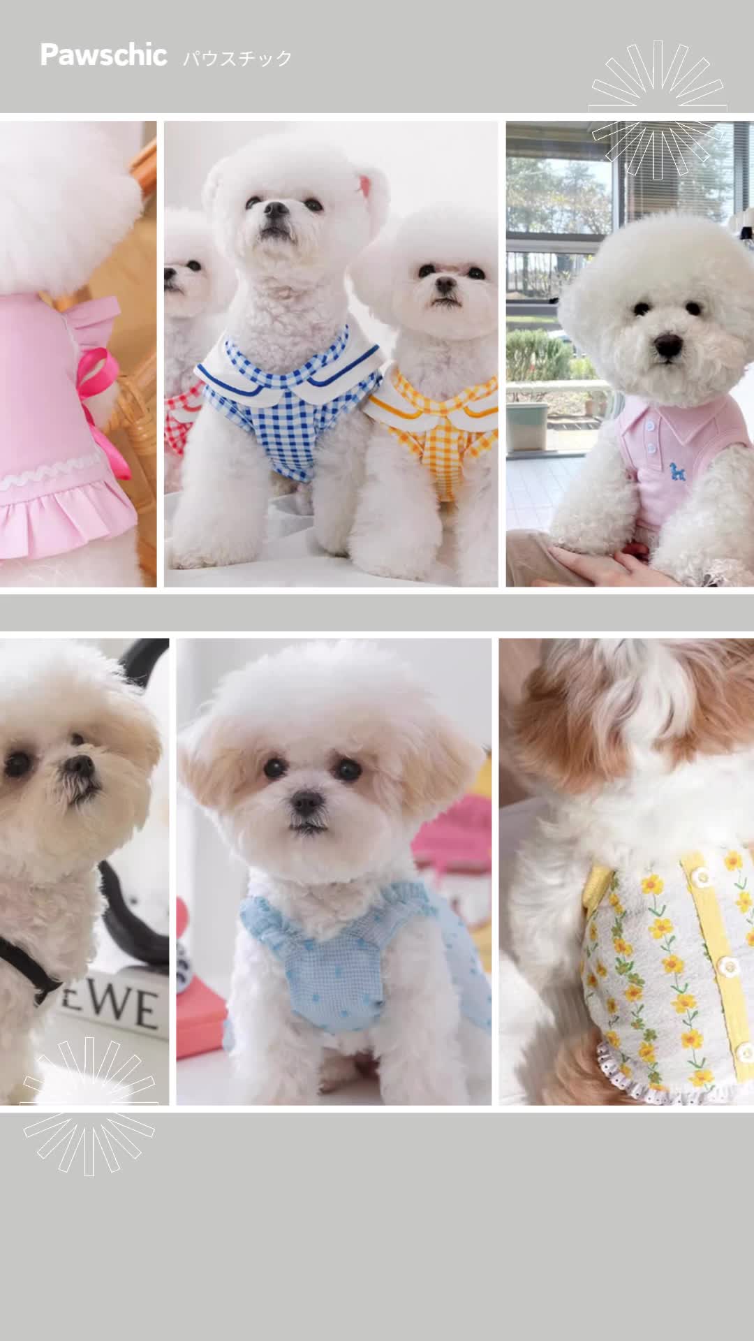 @1500円均一の犬服SHOP Pawschic パウスチック