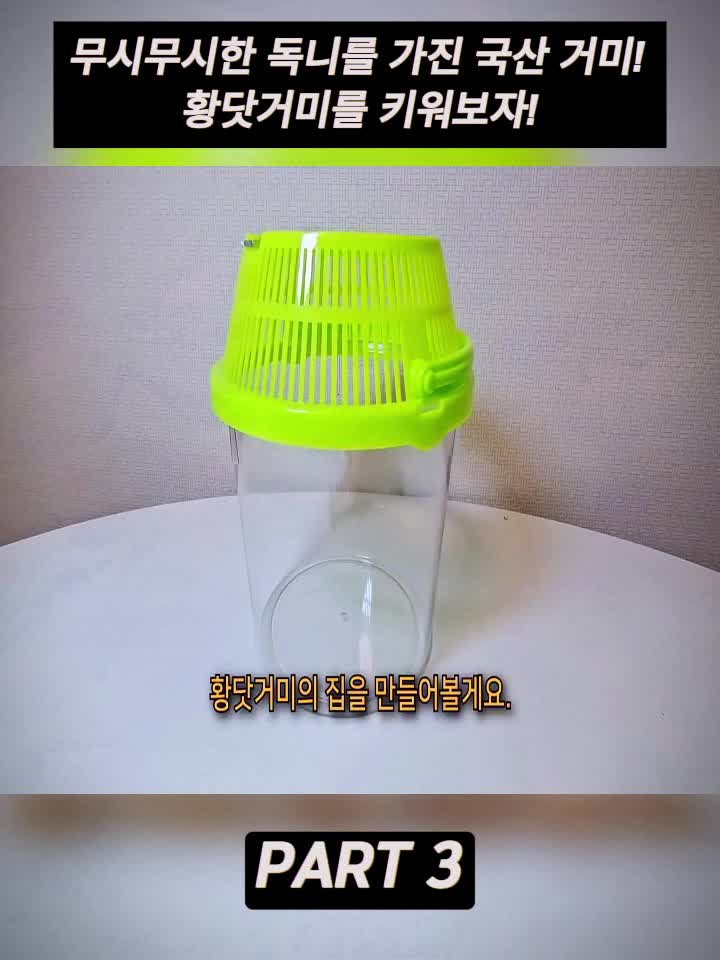 @Fubao Cute