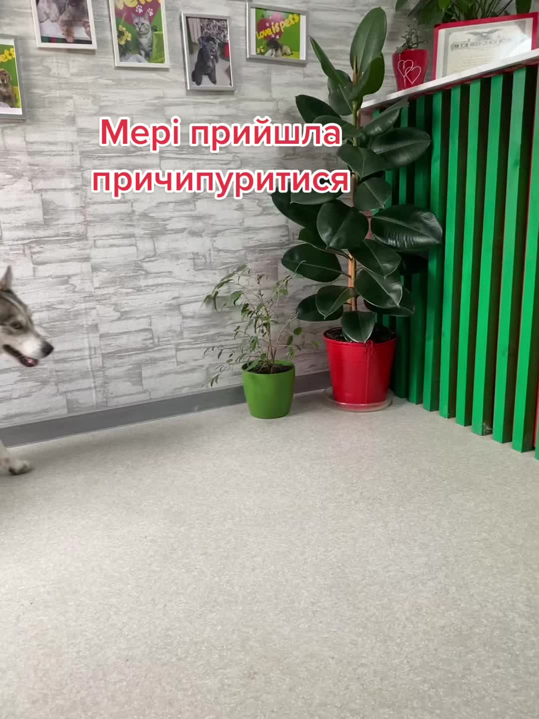 @Ірина Карпова