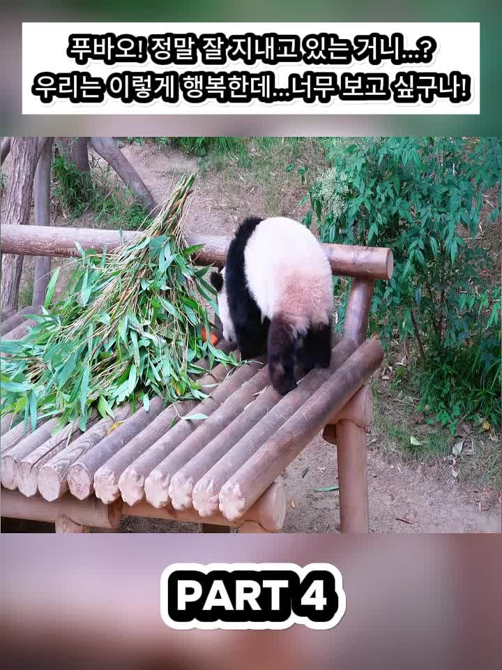 @Fubao Cute