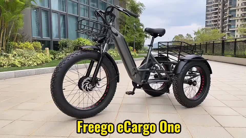 @Electric Fat Bikes