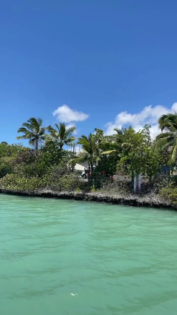 raya_steele (@raya_steele) - Urlebird