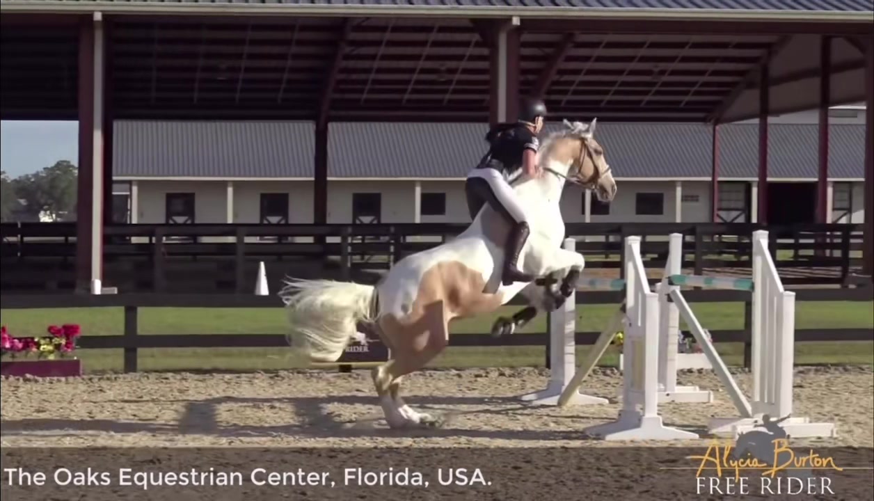 @horse riders