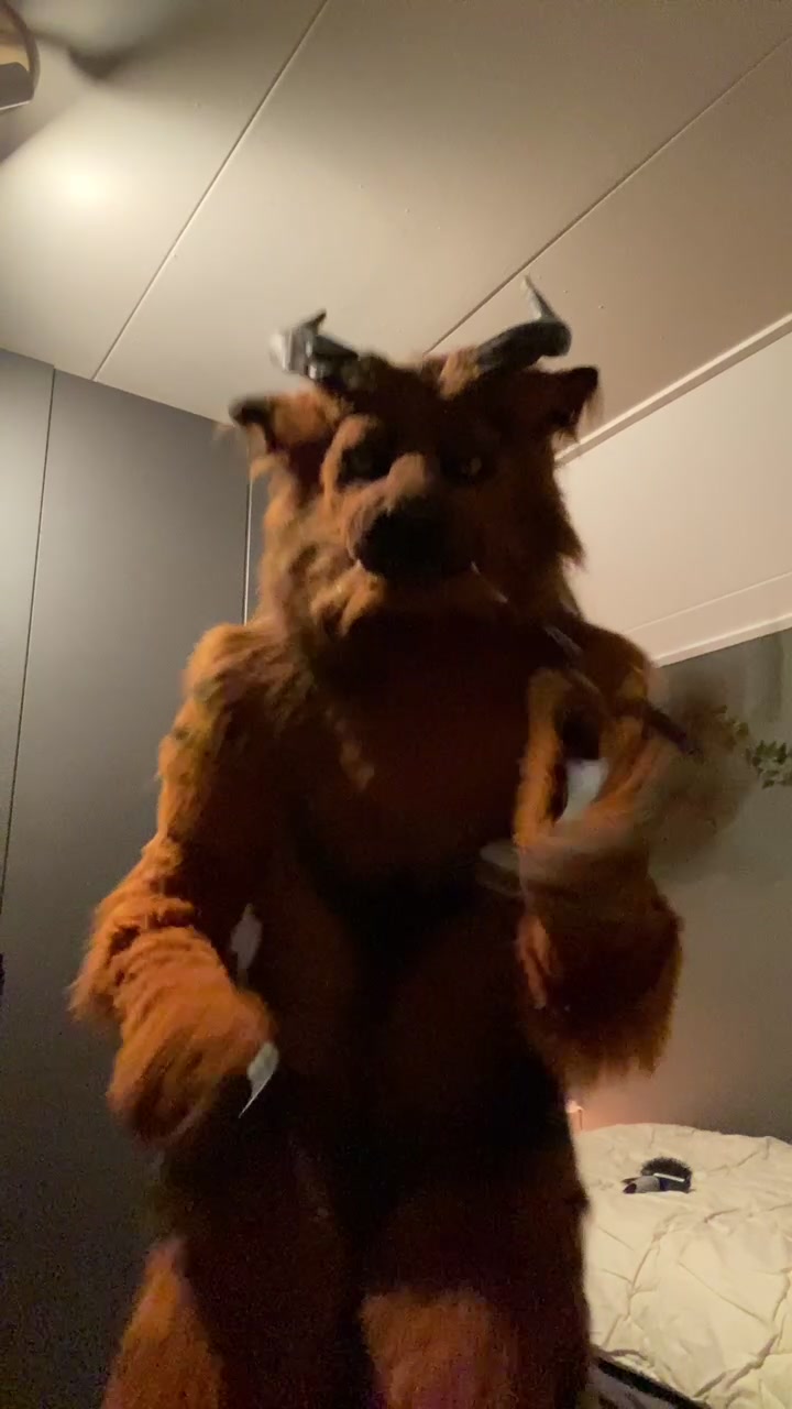 @Shangfudog