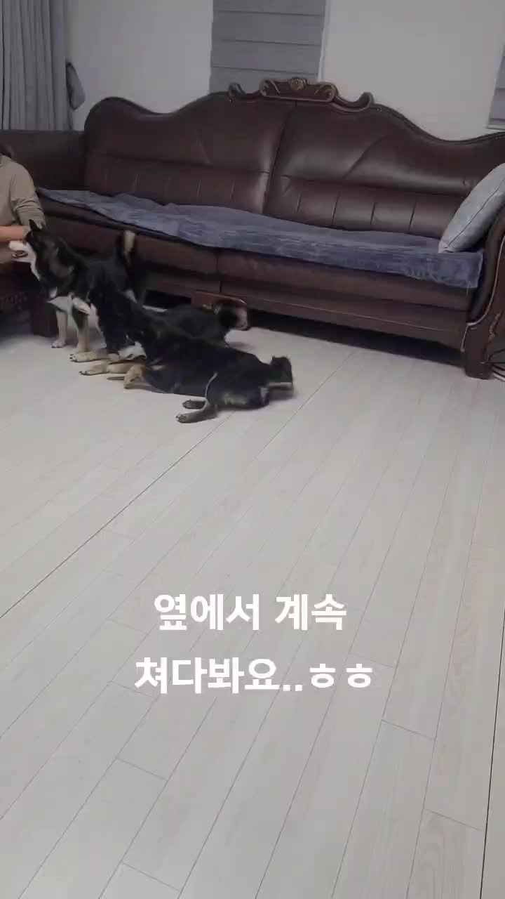 @연탄똘이