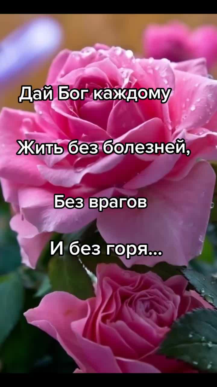 @Irinka💐