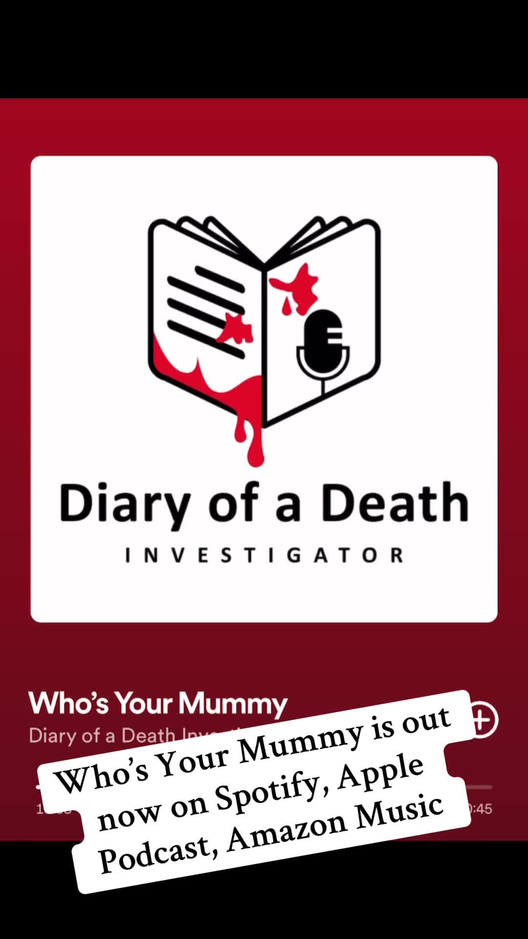 @diaryofadeathinvestigatr