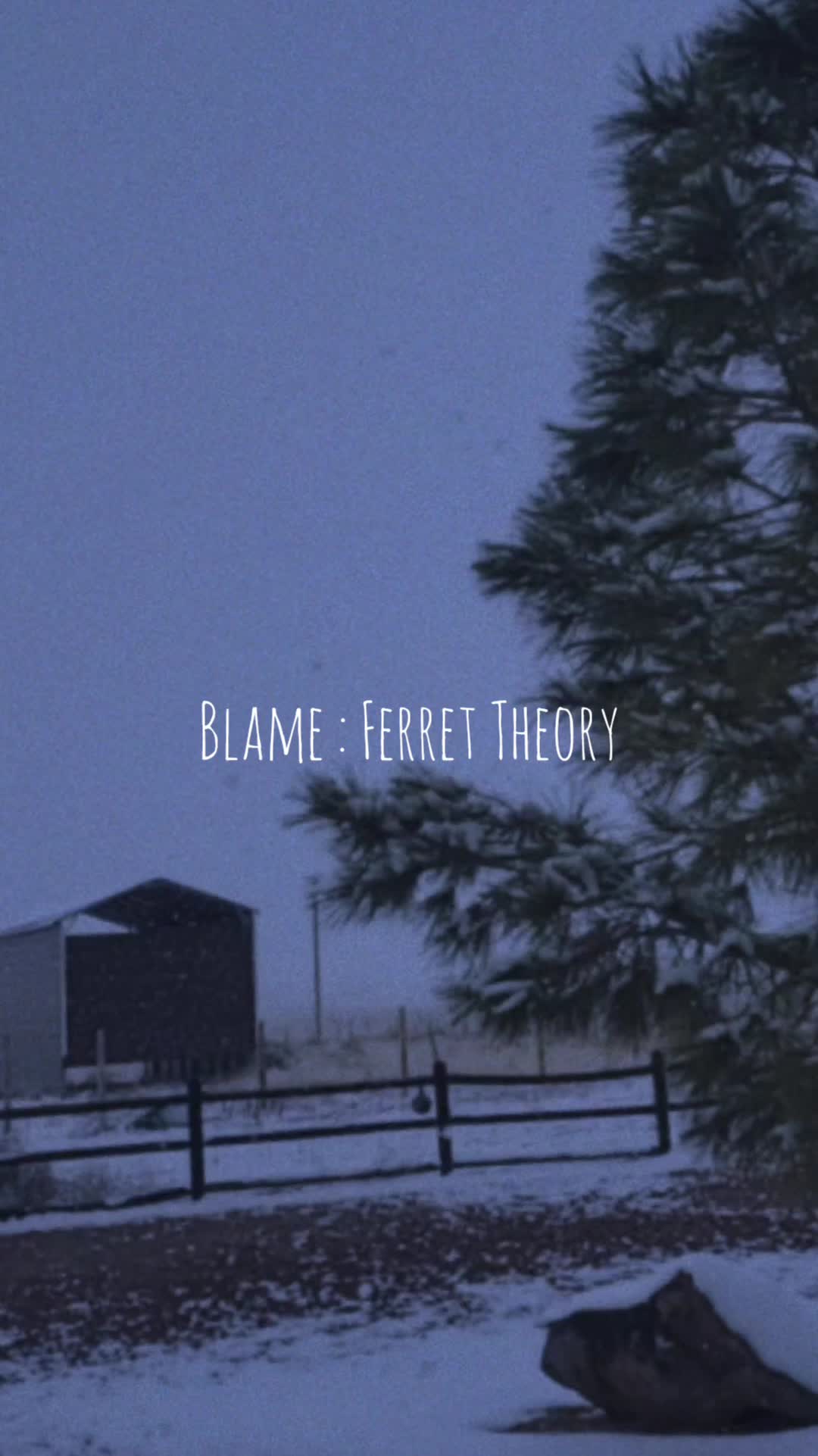 @Ferret Theory