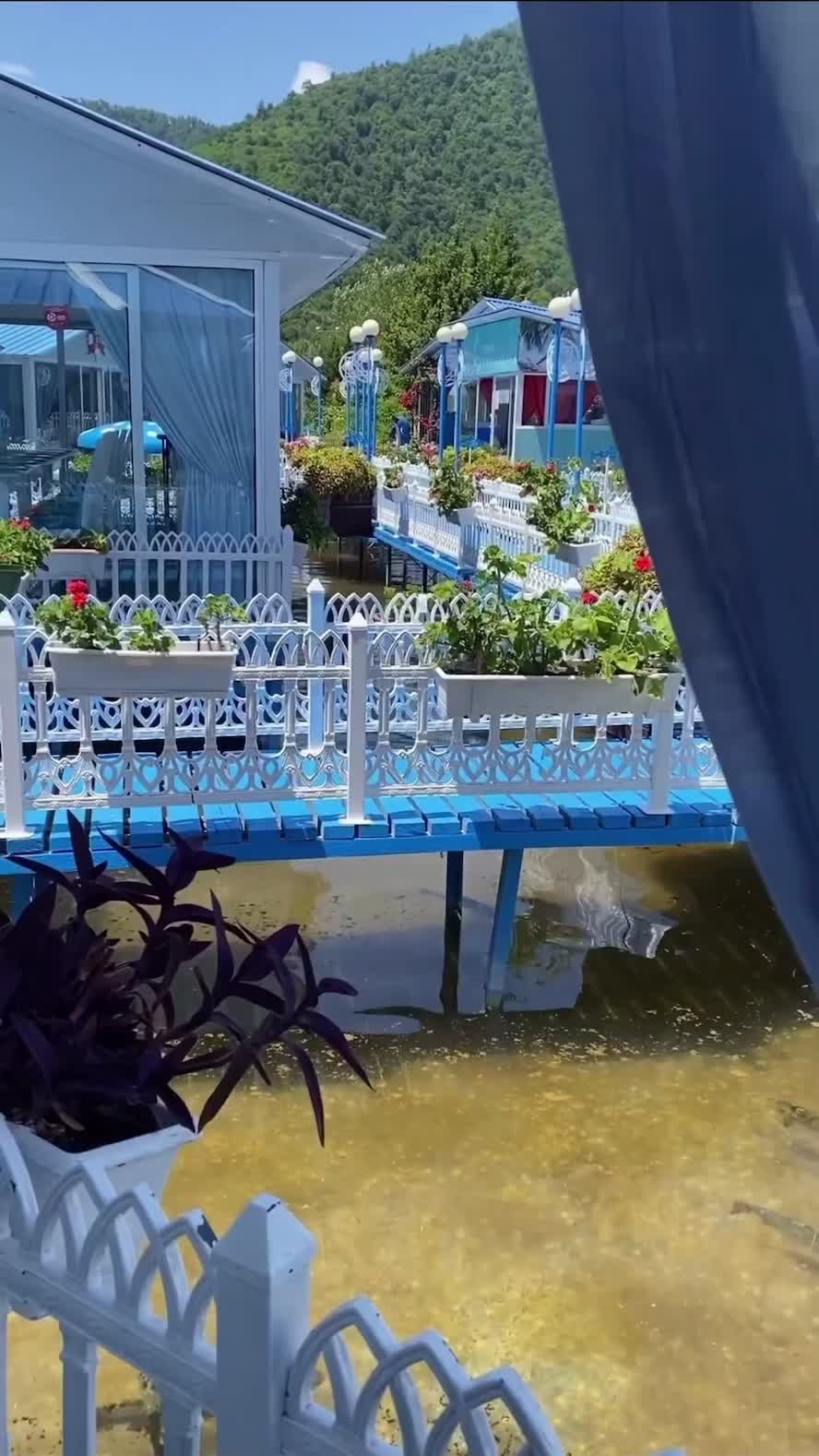 @𝓐𝓵𝓲𝓷𝓪🕊