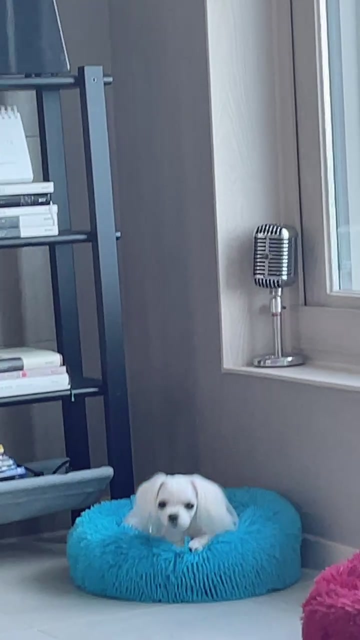 @킥다혜