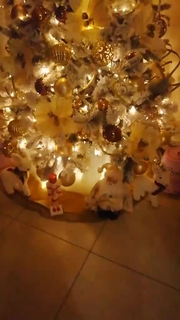 @carmen.operoso90