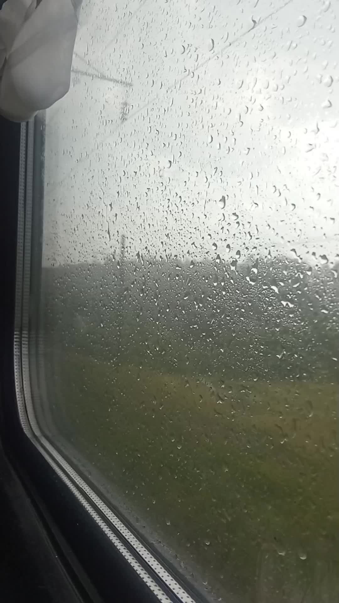 @Тгк: Наблюдатель жизни