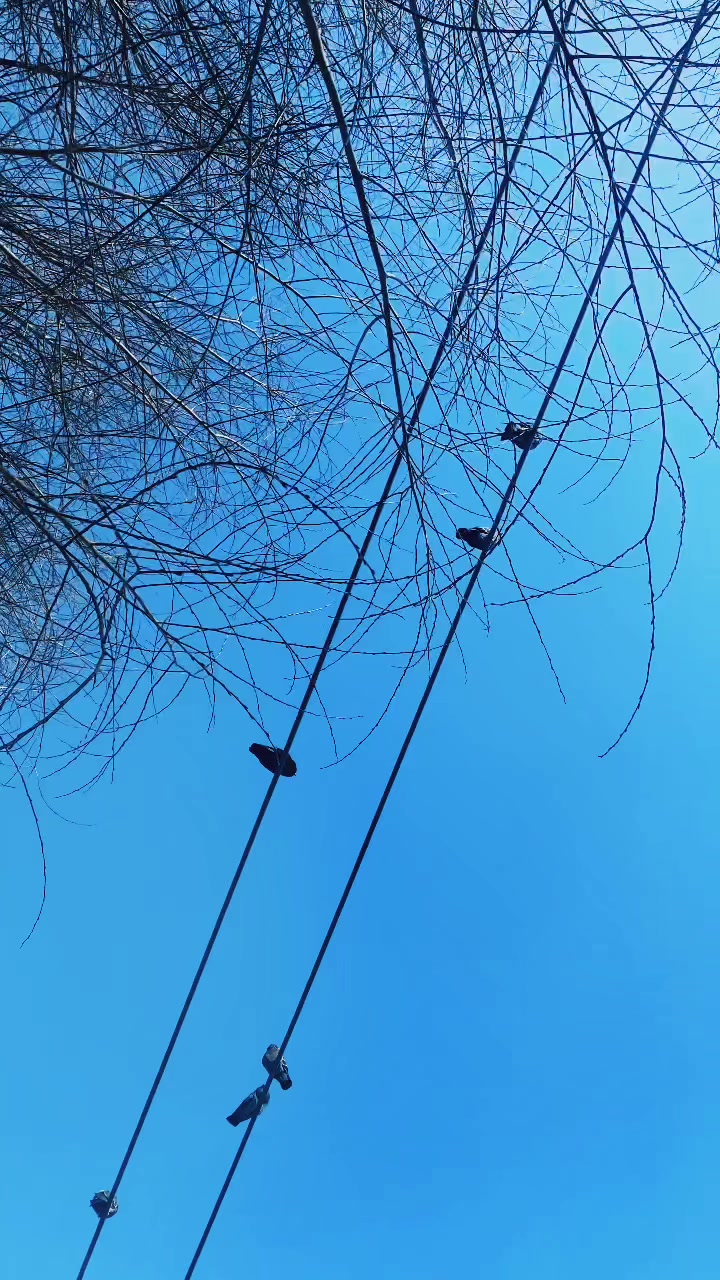 @Мария Носкова