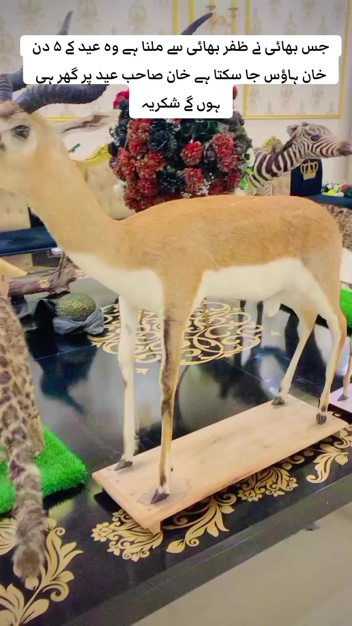 @🇦🇪راولاکوٹی ماسیر🇵🇰💫🐅