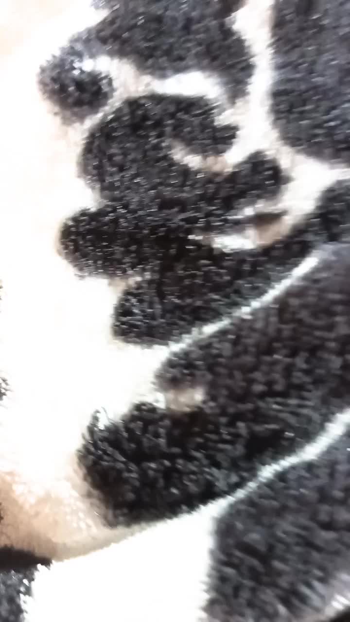 @пипец