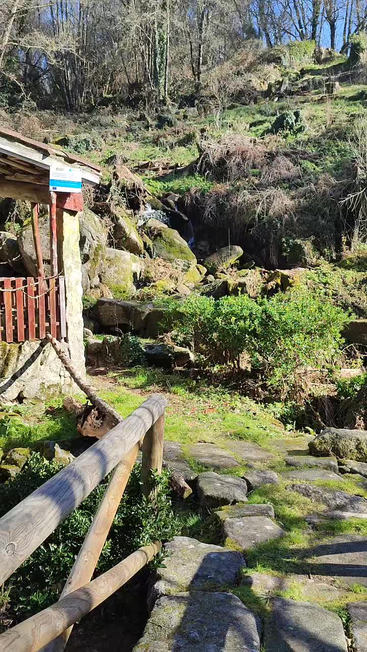@Galicia Máxica