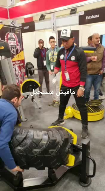 @سيف سلامه