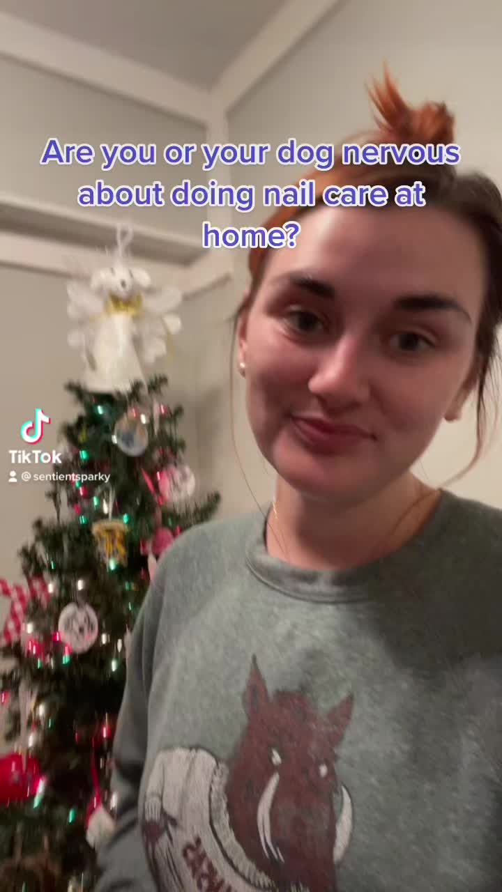 @sentientsparky