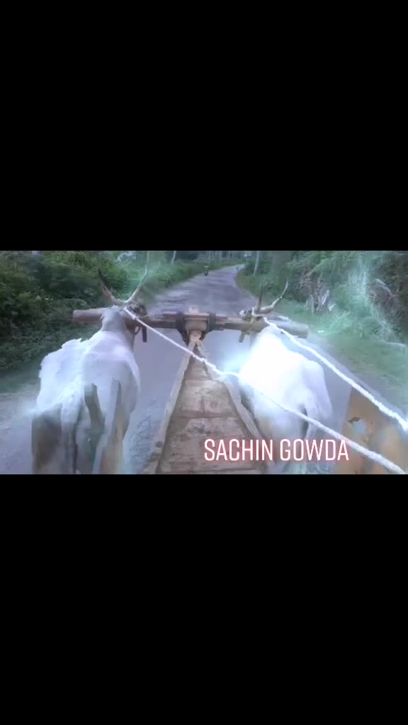 @🐂Sachin8453847757🐂