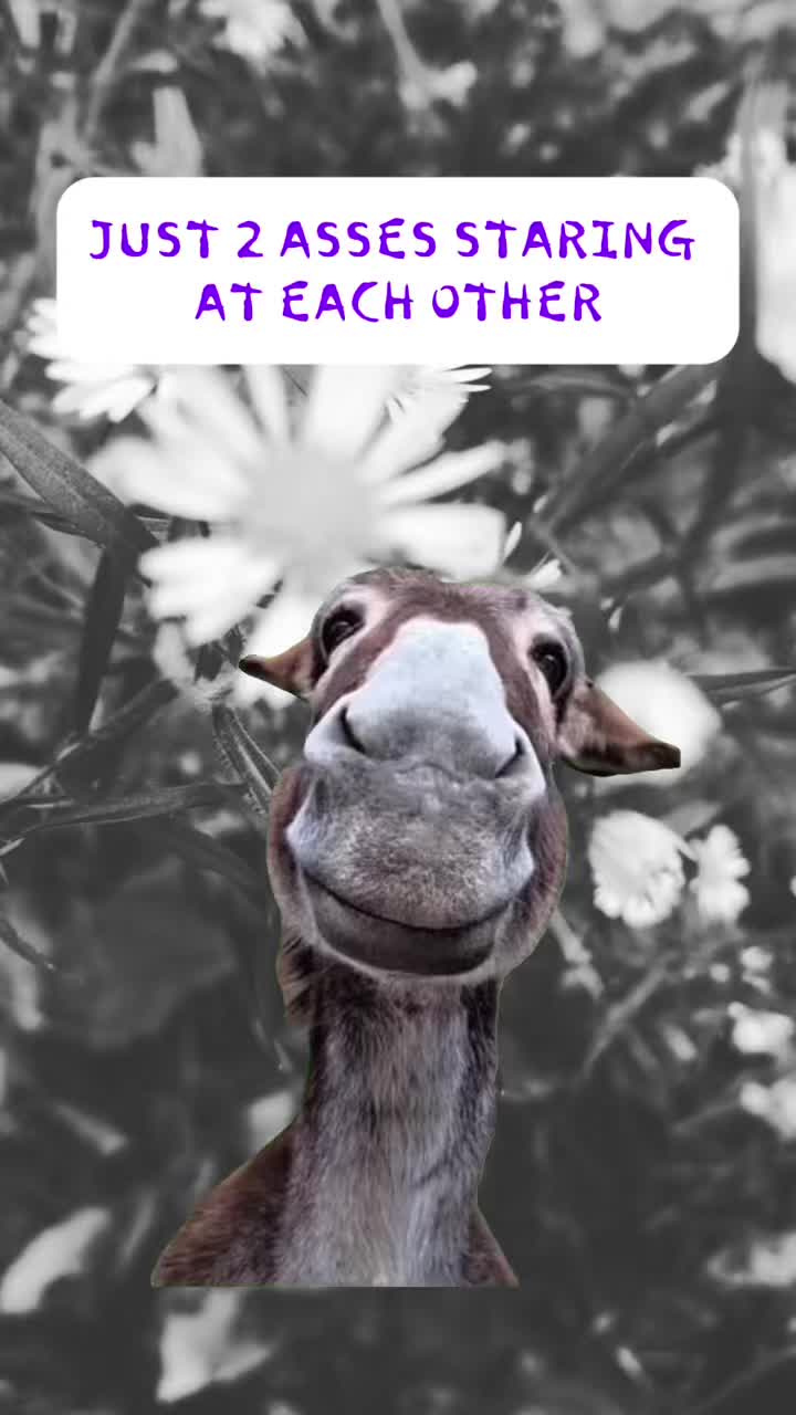 @receivepositivenergyonly
