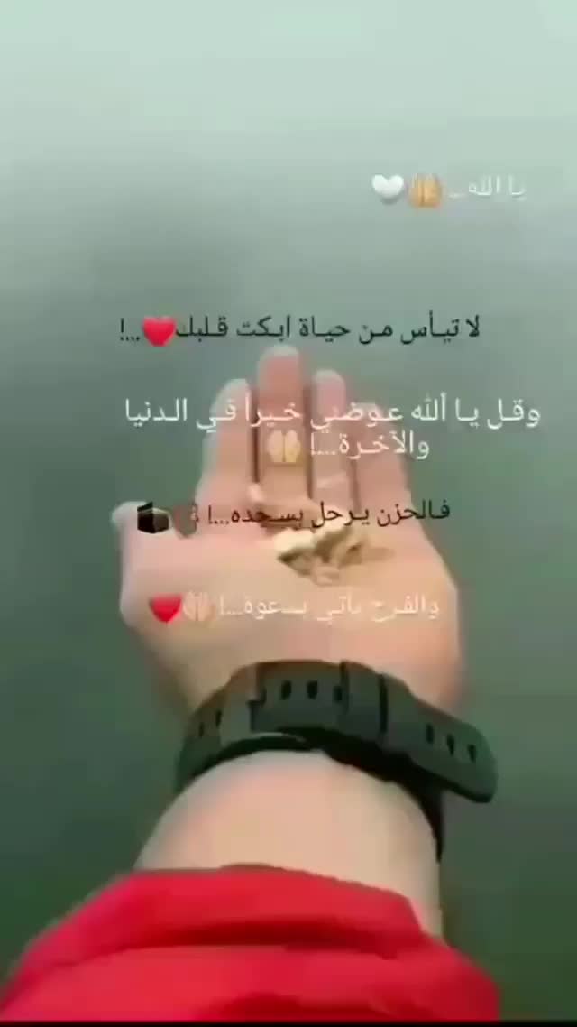 @ندى بيوتي