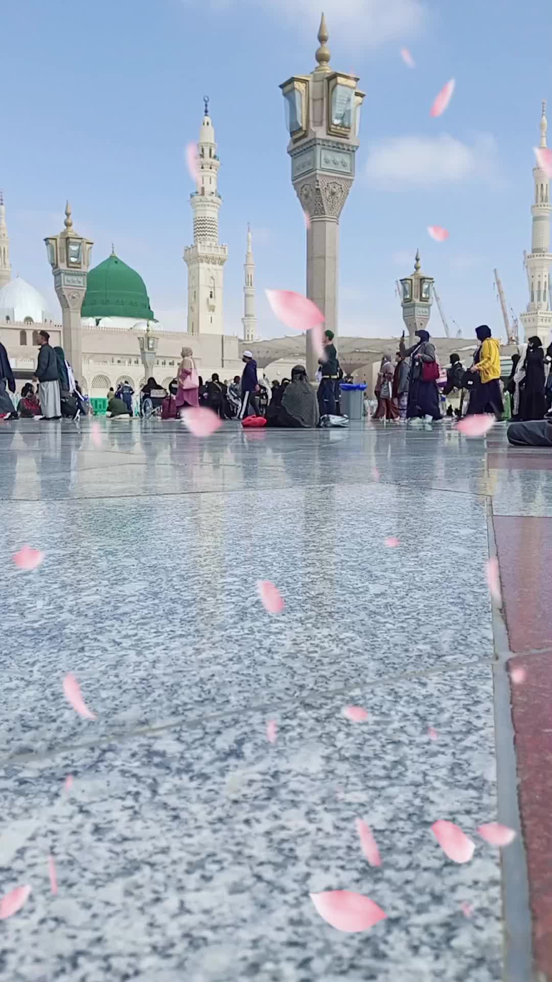 @Tanveer_Jutt_143❣️