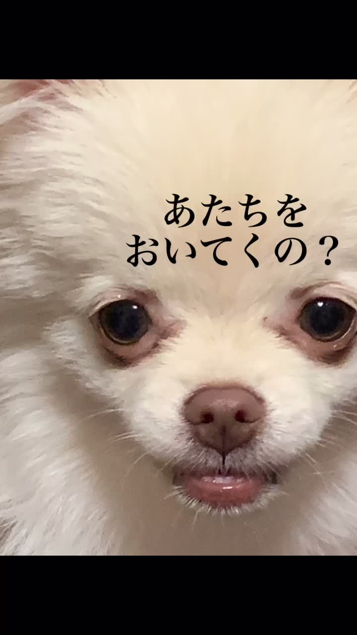 @ちーちゃん