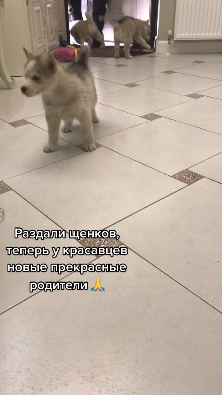 @МОНАВЛЮ