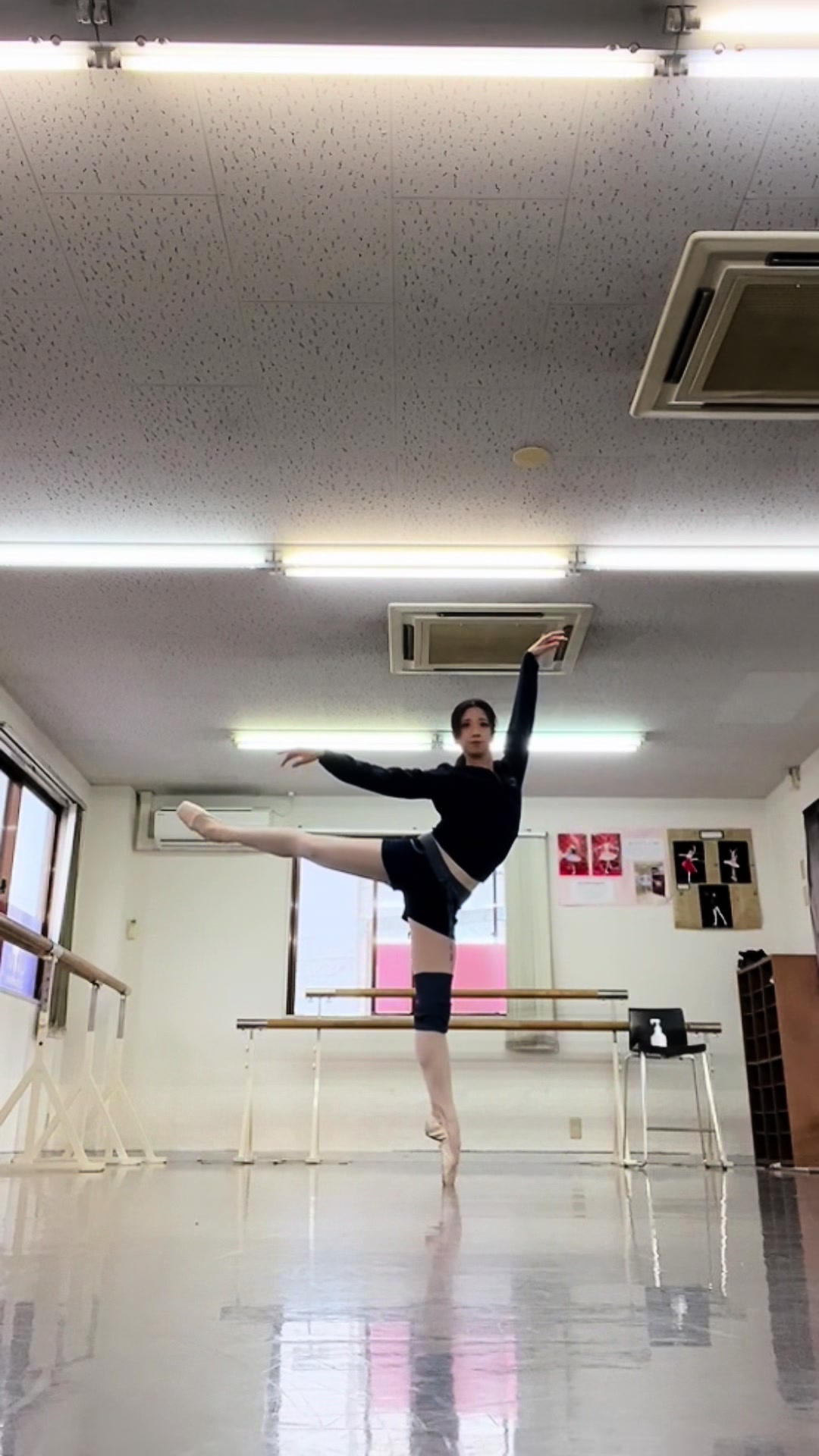 @茉莉愛🥀🐾 -Maria-
