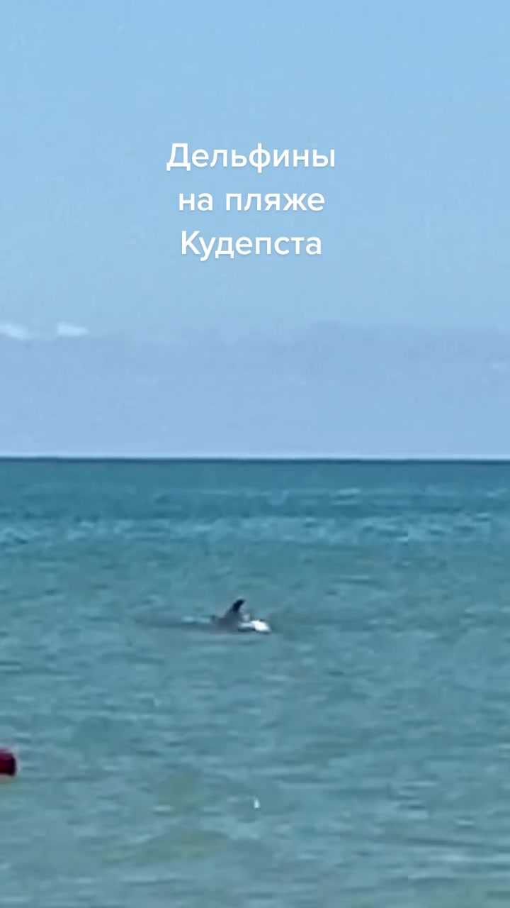 @Отдых Дикарями