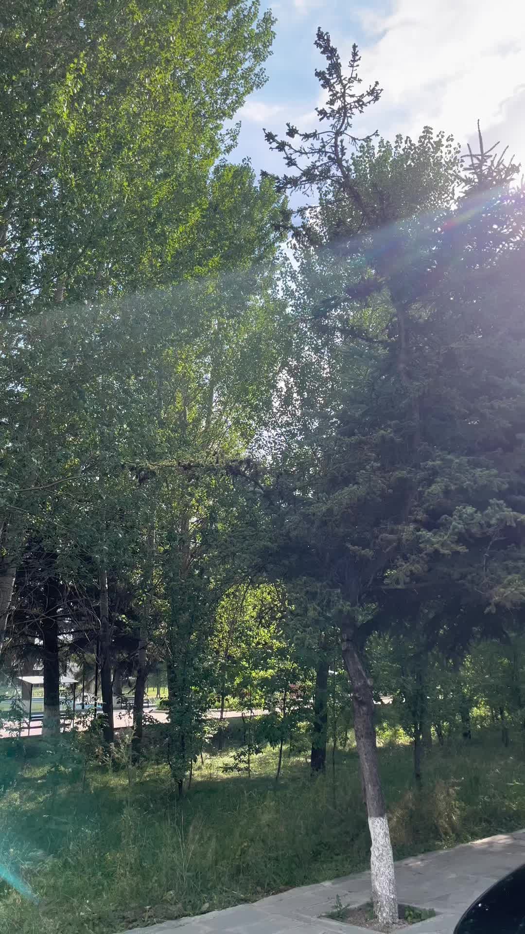 @🗽