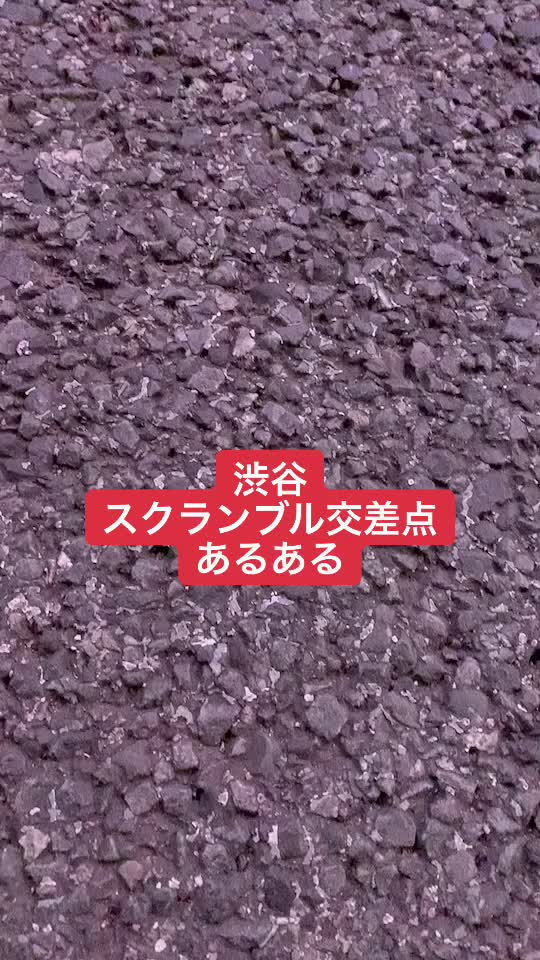 @トビタハジメ(トビハジ)