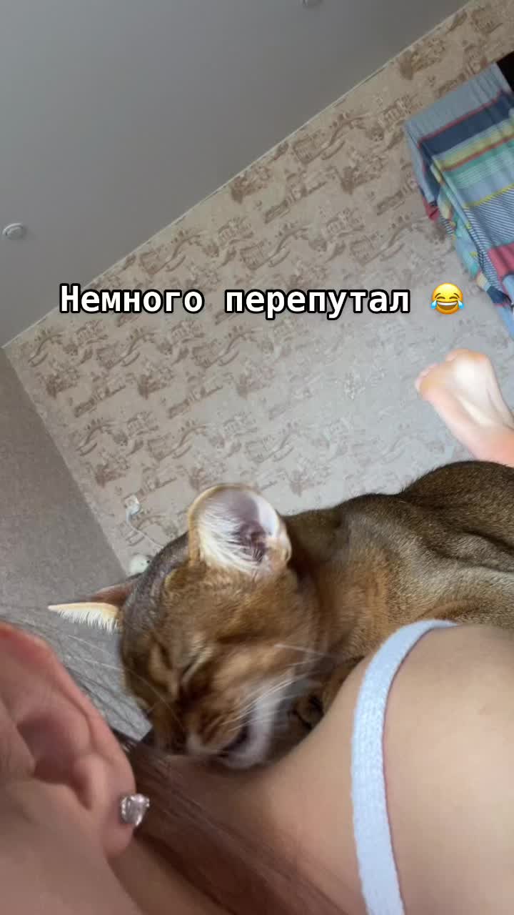@Ekaterina