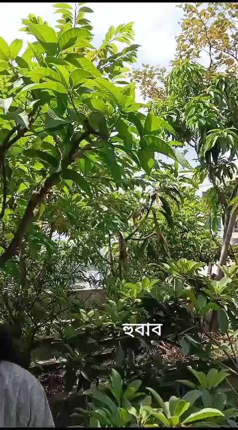 @হুবাব