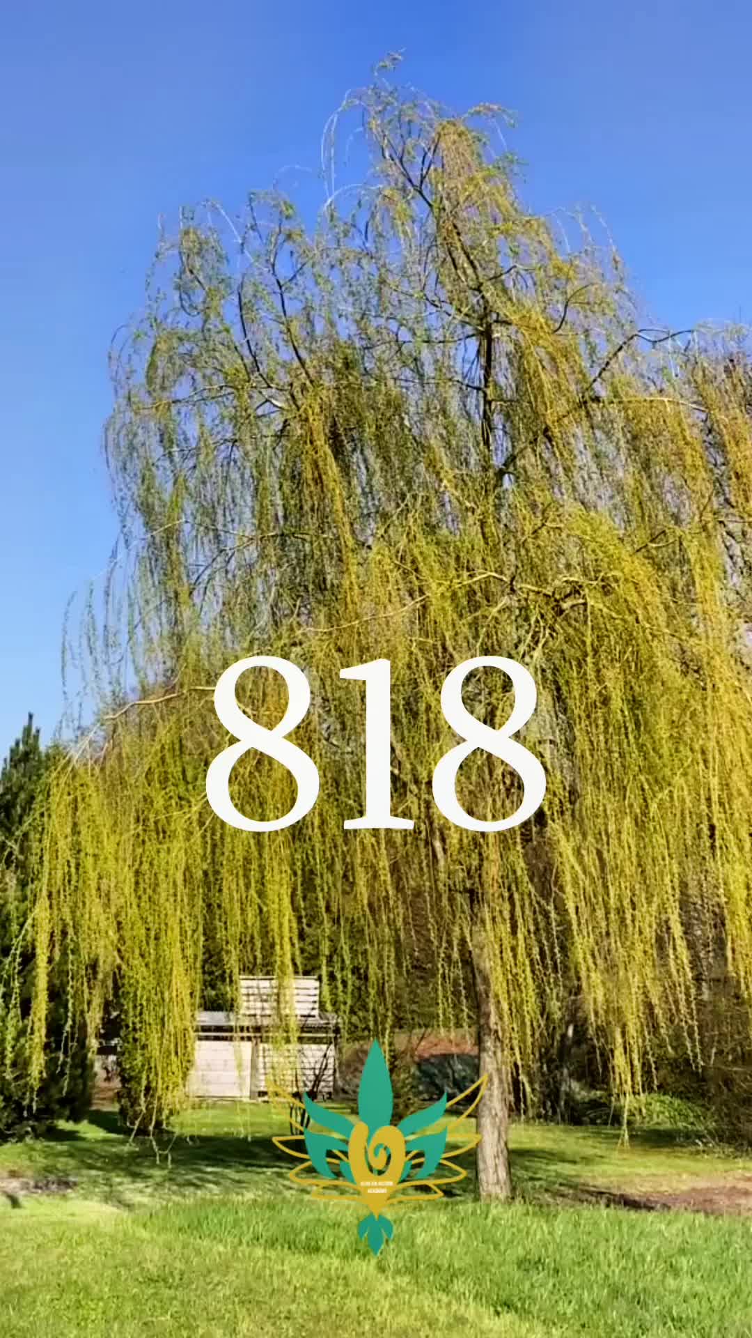 @13ChispasDelAlma